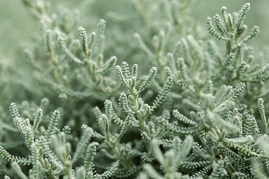 Maksims Grigorjevs/istockphoto.com