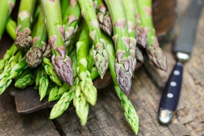 Viktory Panchenko/shutterstock.com