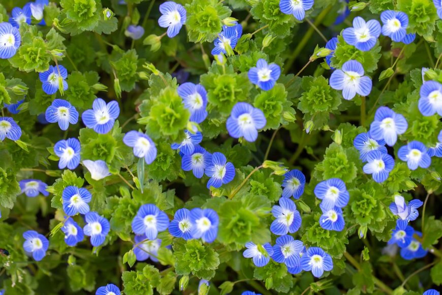 BarthFotografie/shutterstock.com