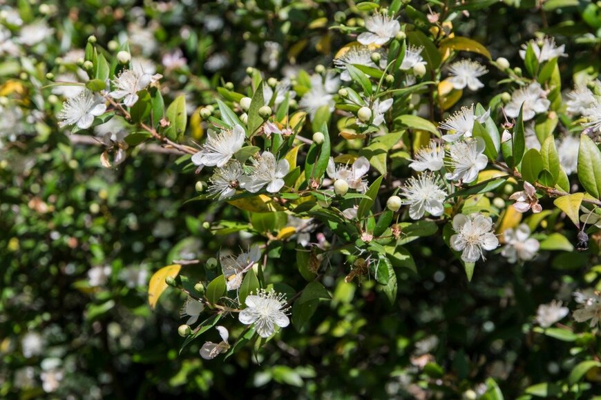 Michel VIARD/istockphoto.com