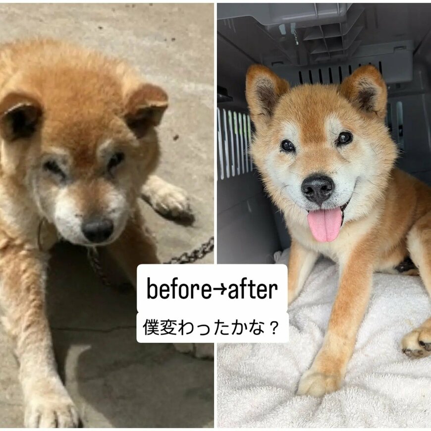 素敵な笑顔を見せてくれるように！