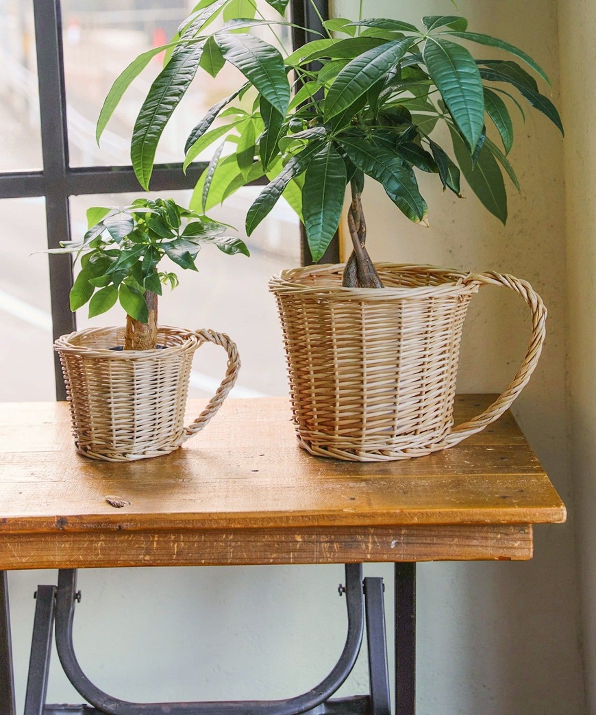 出所：パルグループ公式ファッション通販サイト　柳コップ型バスケット：S