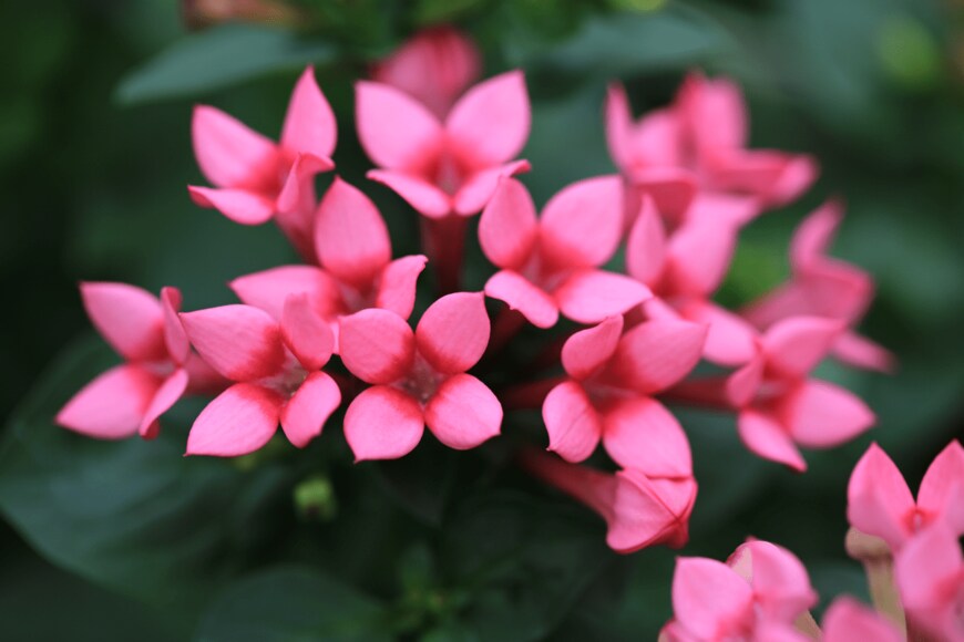 Traveller70/shutterstock.com