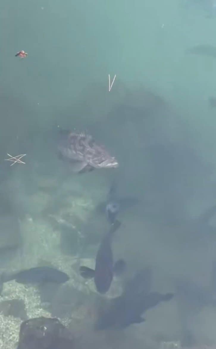 出所：@anyohoseo2