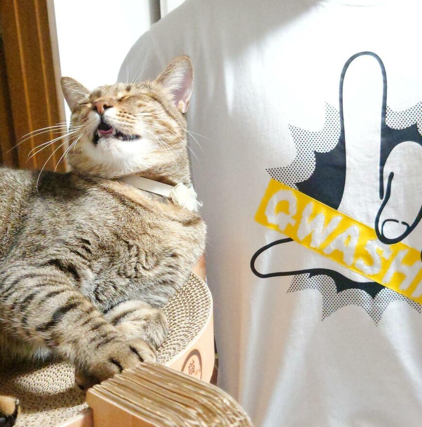 出所：@Mh0MLiErcV8E97C