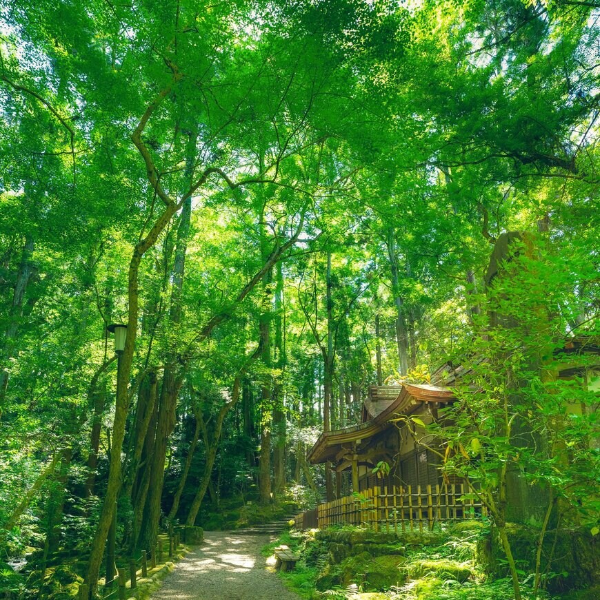 出所：@Ozora_Yukari