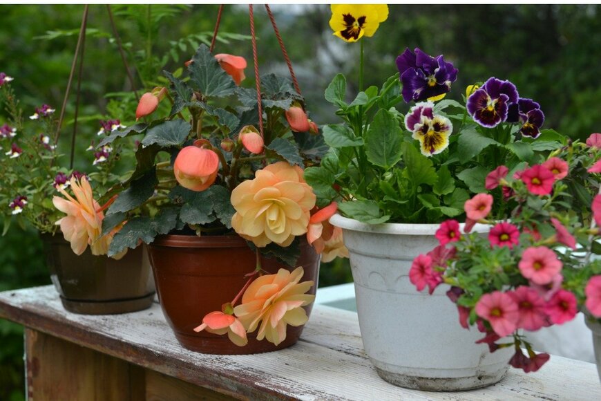 VeraPetruk/istockphoto.com