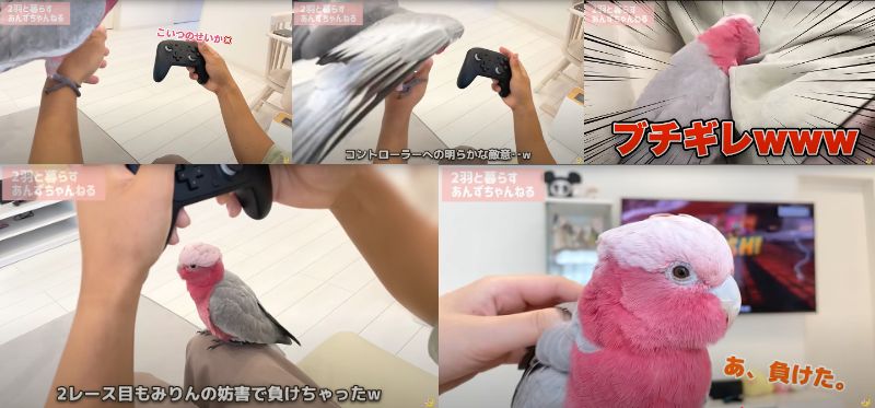 出所：@anz_omomiri