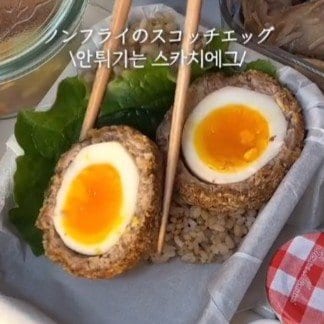 【夫弁当】断面が美しい「スコッチエッグ」がメインのお弁当がノンフライで完成！沢山の副菜を綺麗に詰めていく様子にも見惚れてしまう