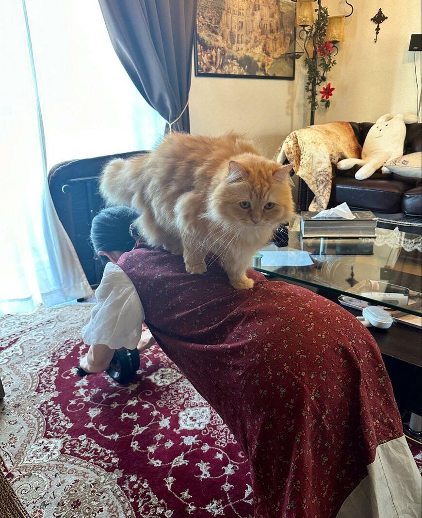 出所：@NEKOLAND13