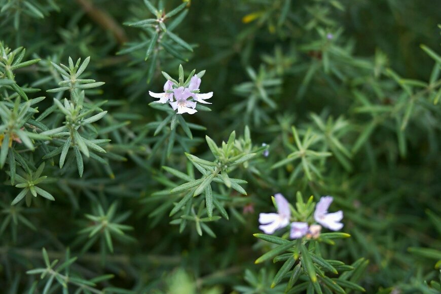 seven75/istockphoto.com