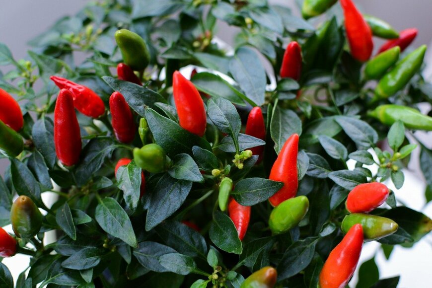 tagphoto/istockphoto.com