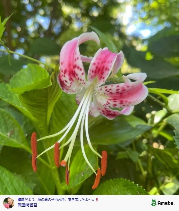 出所：假屋崎省吾のAmebaブログ 参照日：2025年8月1日
