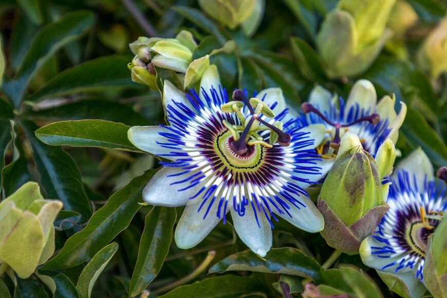 Eyliana Photography/Shutterstock.com