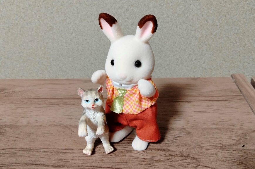 筆者撮影（ダイソー、縁にかけられるアニマル（猫））