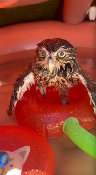 出所：@cr8673.hiro