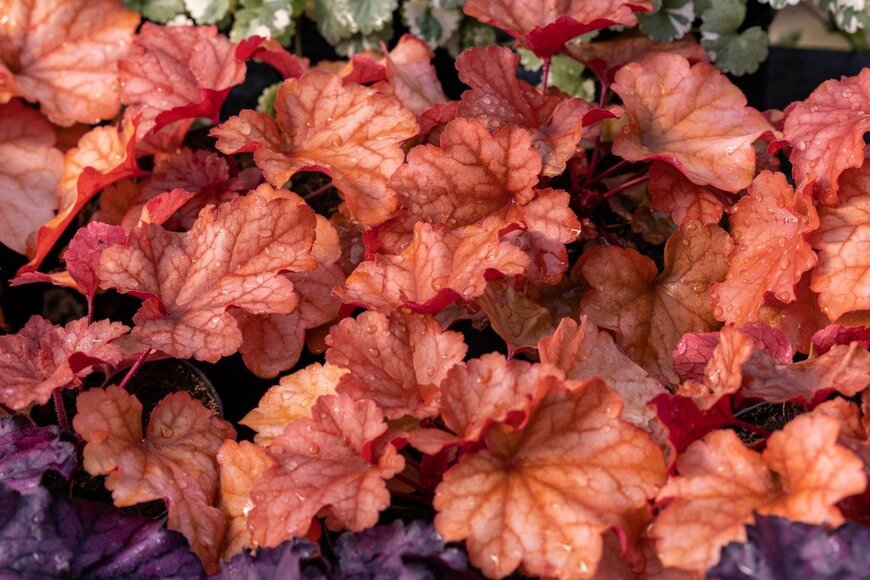 wjarek/istockphoto.com