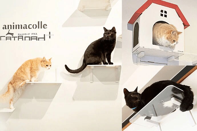 出所：ニトリ公式