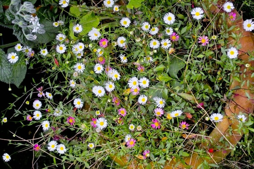 Ole Schoener/shutterstock.com