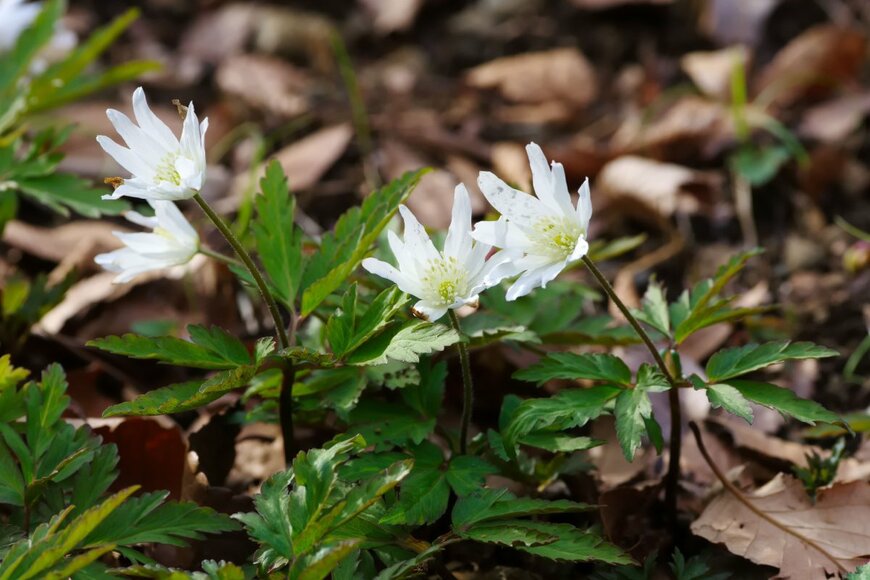 ikwc_exps/shutterstock.com