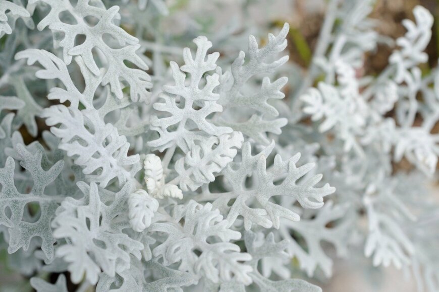 Tetiana Kolubai/istockphoto.com