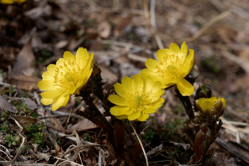 minipins/istockphoto.com