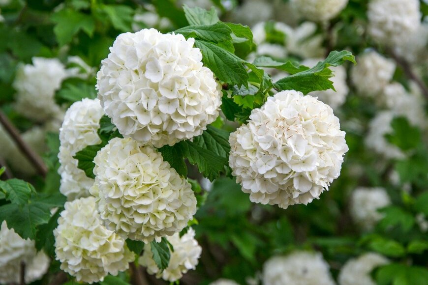 Vesela Boycheva/istockphoto.com