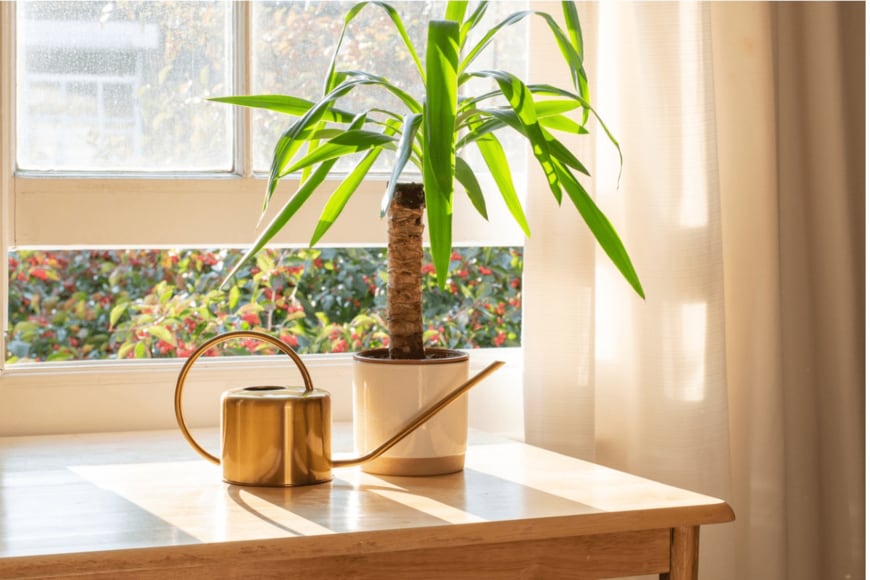 Grumpy Cow Studios/istockphoto.com