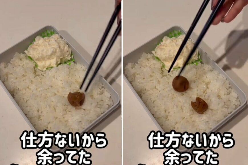 投稿動画のワンシーン