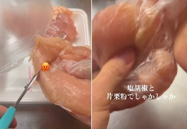 投稿動画のワンシーン