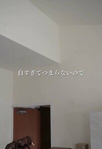 白い壁が「ミラーウォール」に変身！鏡と木材で作る、部屋が広くおしゃれに見えるDIYに称賛集まる