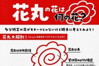花丸の花は何の花？モチーフを独自分析をした驚きの結果が話題に「目の付け所がすごい」