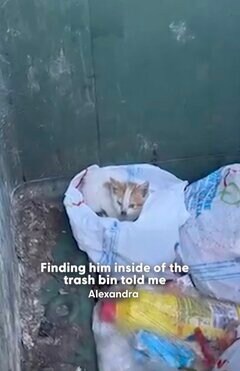 ゴミ捨て場のなかを彷徨っていた子猫を保護→新しい環境で元気に暮らす姿に思わず涙
