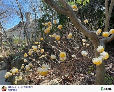 假屋崎省吾の公式ブログ投稿