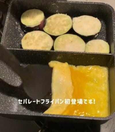 投稿動画のワンシーン