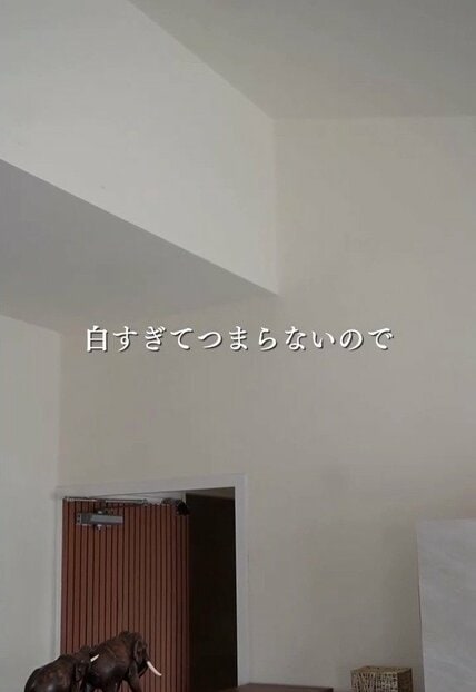 白い壁が「ミラーウォール」に変身！鏡と木材で作る、部屋が広くおしゃれに見えるDIYに称賛集まる