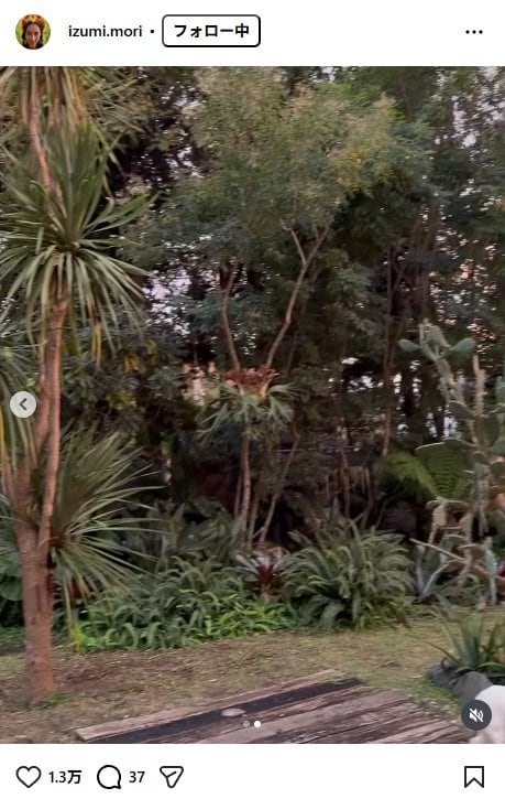 出所：森泉のInstagram（@izumi.mori）参照日：2025年11月10日