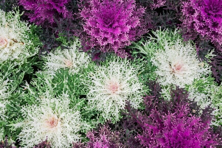 Vorawich-Boonseng/istockphoto.com