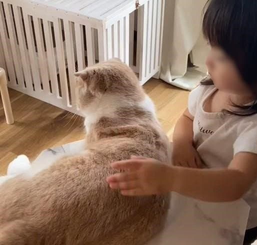 出所：@chanmaro1125