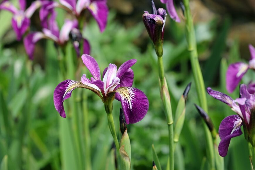 JohnatAPW/istockphoto.com