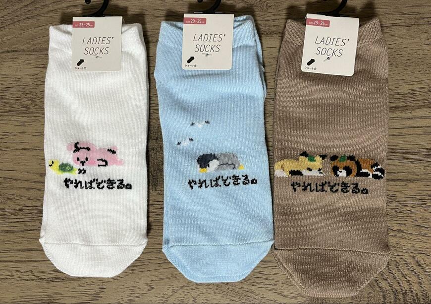 筆者撮影（セリア、レディースショート丈 やればできる）