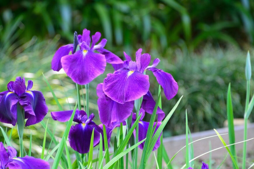 High Mountain/shutterstock.com