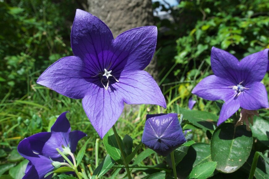 minipins/istockphoto.com