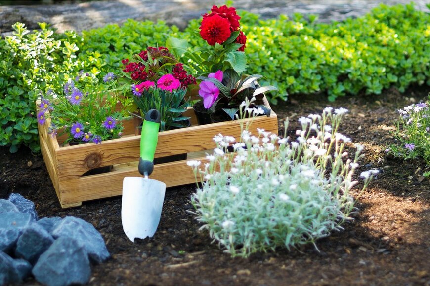 ABO PHOTOGRAPHY/Shutterstock.com