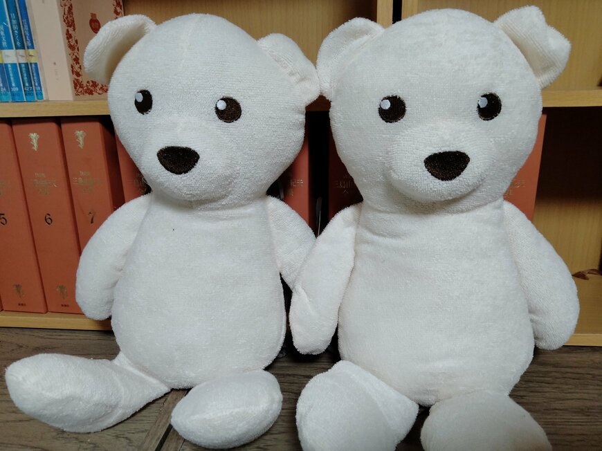 出所：筆者撮影（3COINS　保冷剤付きリュック）