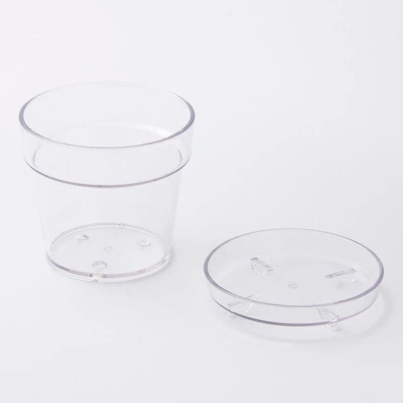 画像出所：ダイソーネットストア