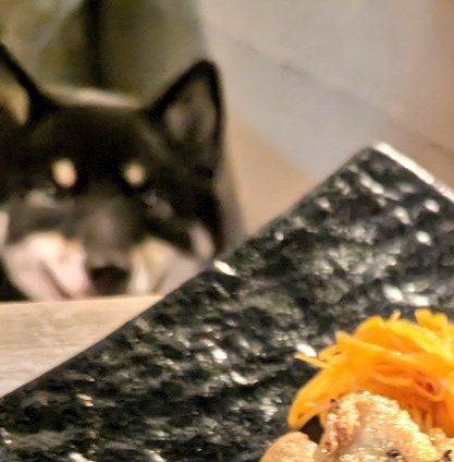 出所：@BLshiba_tensuke