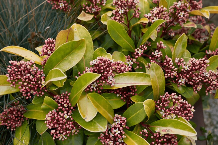 seven75/istockphoto.com