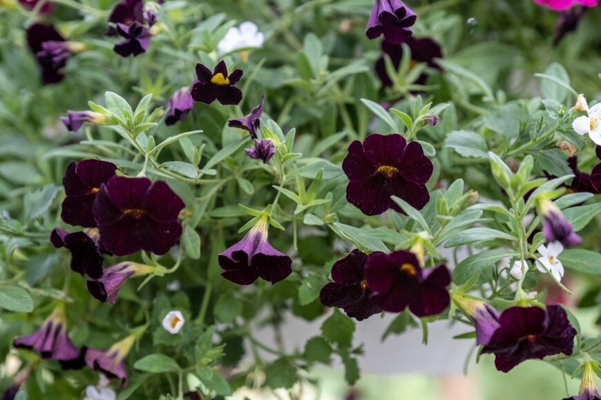 Marina Gordejeva/istockphoto.com