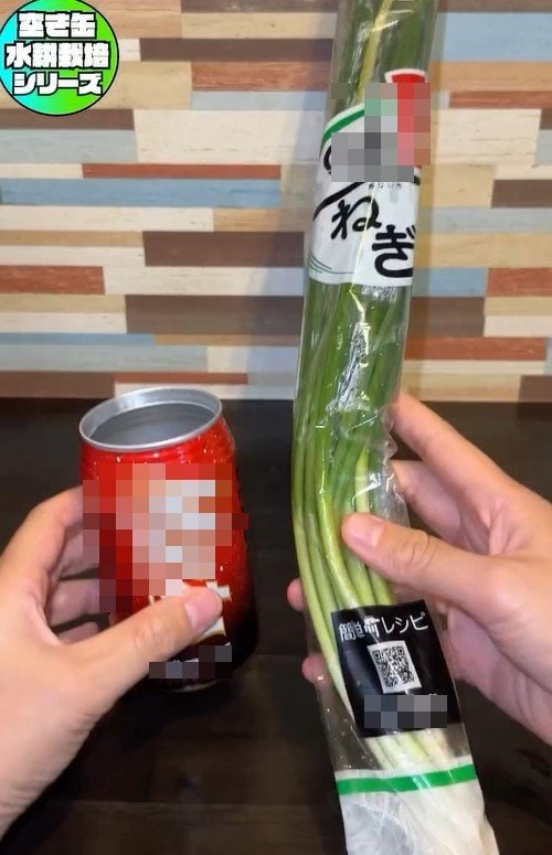 出所：mikanbo_ya19_87